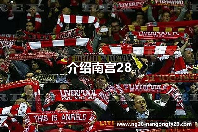 介绍南宫28